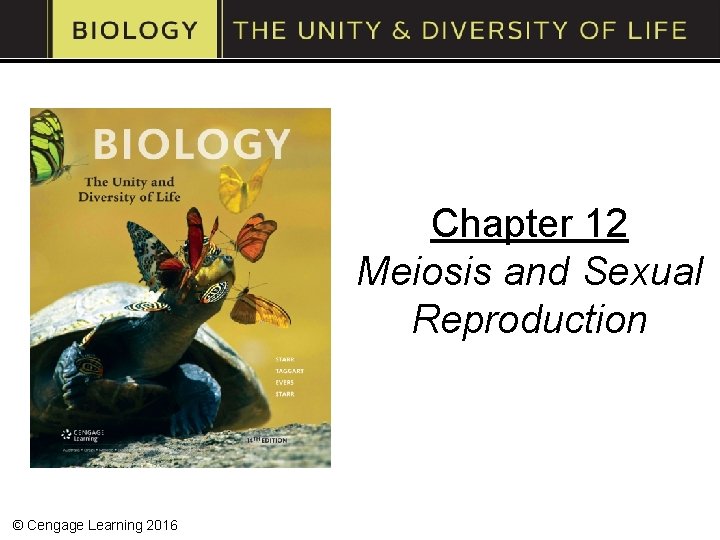 Chapter 12 Meiosis and Sexual Reproduction © Cengage Learning 2016 