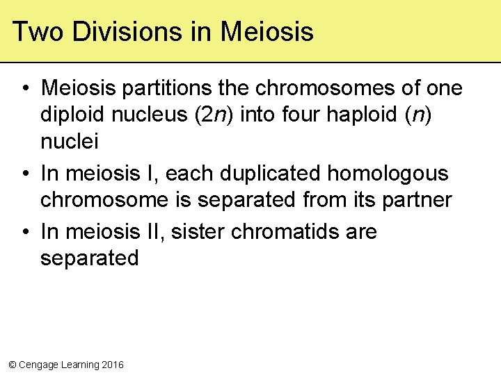 Two Divisions in Meiosis • Meiosis partitions the chromosomes of one diploid nucleus (2