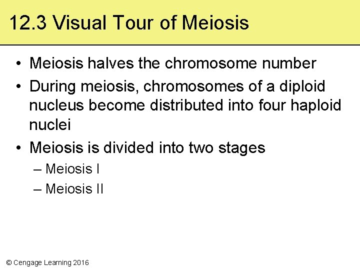 12. 3 Visual Tour of Meiosis • Meiosis halves the chromosome number • During