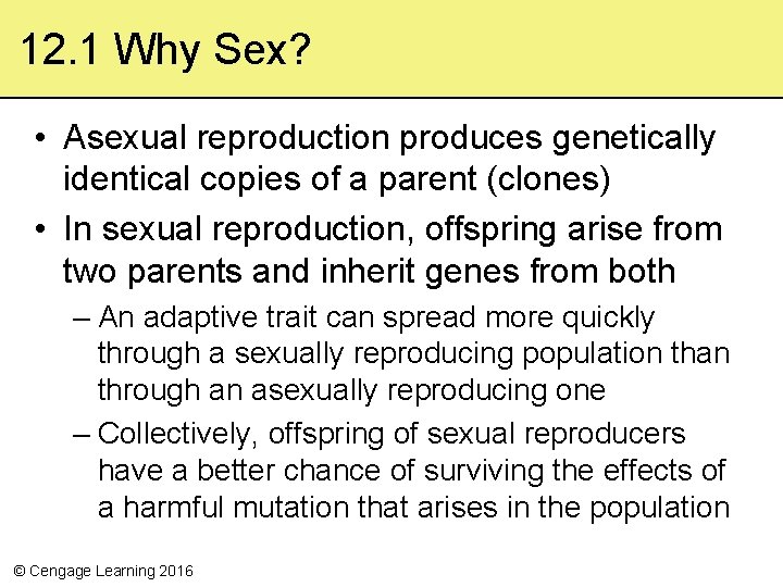 12. 1 Why Sex? • Asexual reproduction produces genetically identical copies of a parent