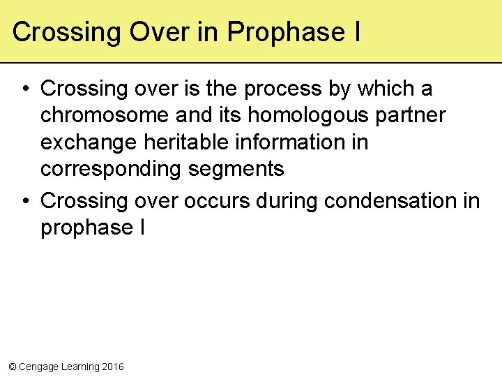 Crossing Over in Prophase I • Crossing over is the process by which a