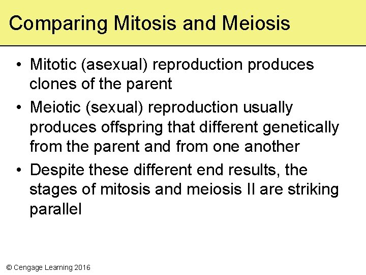 Comparing Mitosis and Meiosis • Mitotic (asexual) reproduction produces clones of the parent •