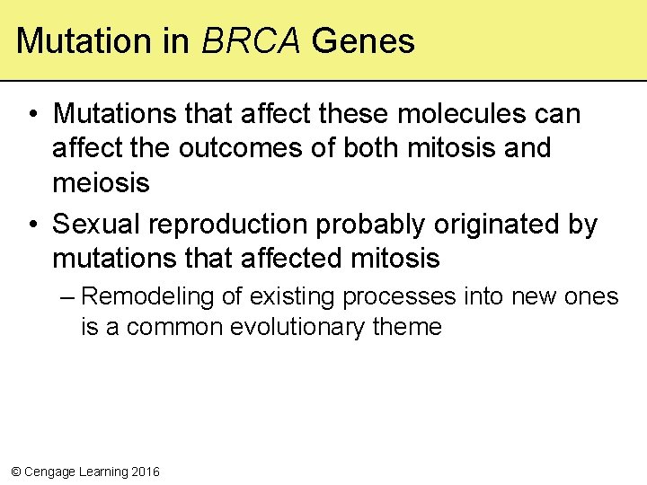 Mutation in BRCA Genes • Mutations that affect these molecules can affect the outcomes