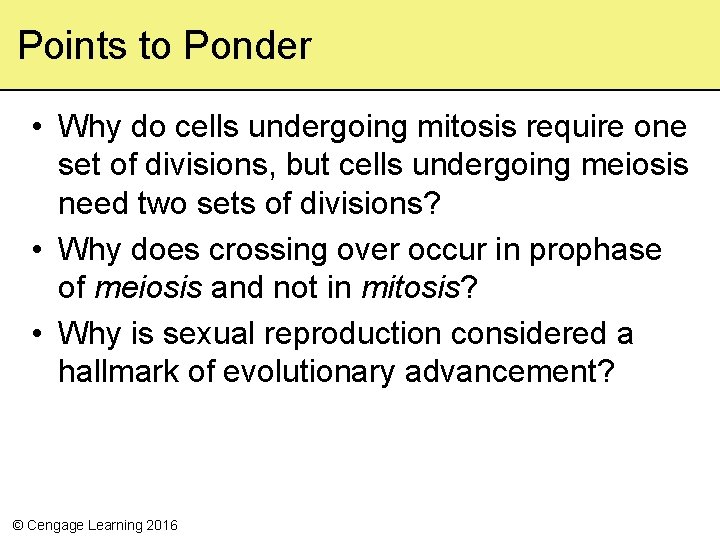 Points to Ponder • Why do cells undergoing mitosis require one set of divisions,