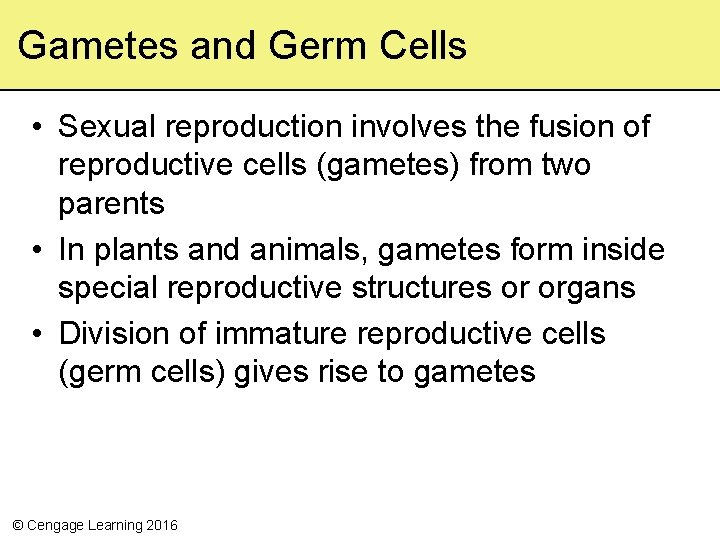 Gametes and Germ Cells • Sexual reproduction involves the fusion of reproductive cells (gametes)