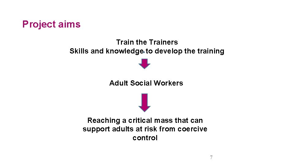 Project aims Train the Trainers Skills and knowledge to develop the training Adult Social
