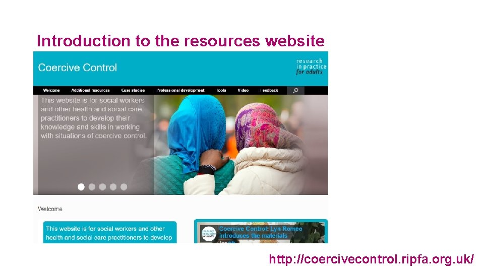 Introduction to the resources website 88 http: //coercivecontrol. ripfa. org. uk/ 