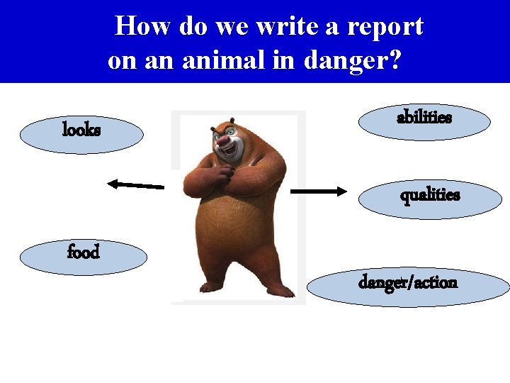 How do we write a report on an animal in danger? looks abilities qualities
