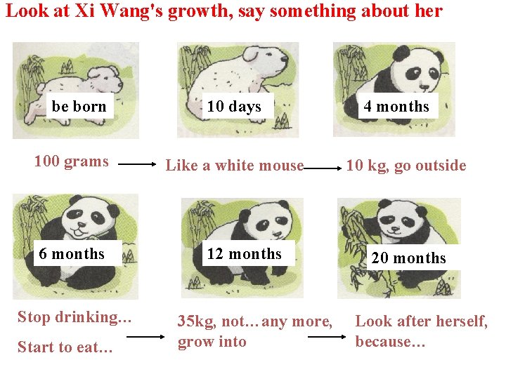 Look at Xi Wang's growth, say something about her be born 100 grams 6