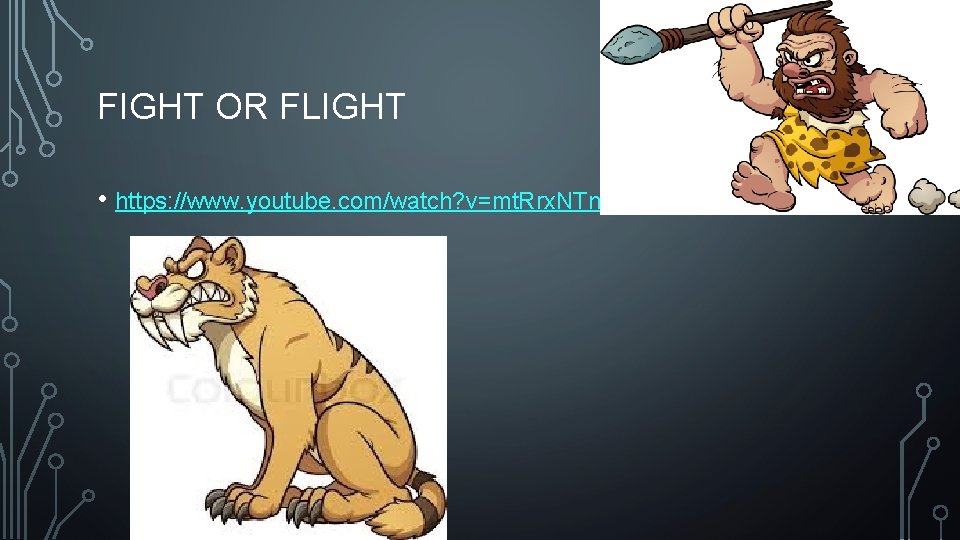 FIGHT OR FLIGHT • https: //www. youtube. com/watch? v=mt. Rrx. NTnyh 8 