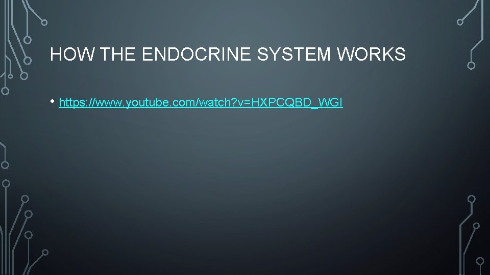 HOW THE ENDOCRINE SYSTEM WORKS • https: //www. youtube. com/watch? v=HXPCQBD_WGI 