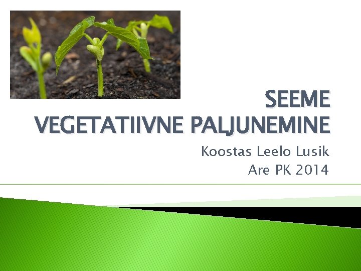 SEEME VEGETATIIVNE PALJUNEMINE Koostas Leelo Lusik Are PK 2014 SEEME VEGETATIIVNE PALJUNEMINE Koostas Leelo Lusik Are PK 2014