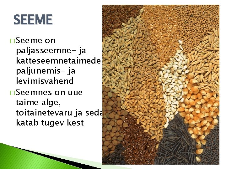 SEEME � Seeme on paljasseemne- ja katteseemnetaimede paljunemis- ja levimisvahend � Seemnes on uue SEEME � Seeme on paljasseemne- ja katteseemnetaimede paljunemis- ja levimisvahend � Seemnes on uue