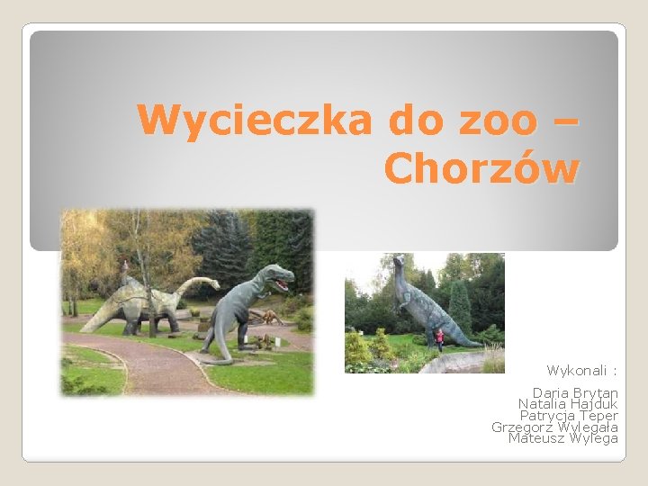 Wycieczka do zoo – Chorzów Wykonali : Daria Brytan Natalia Hajduk Patrycja Teper Grzegorz
