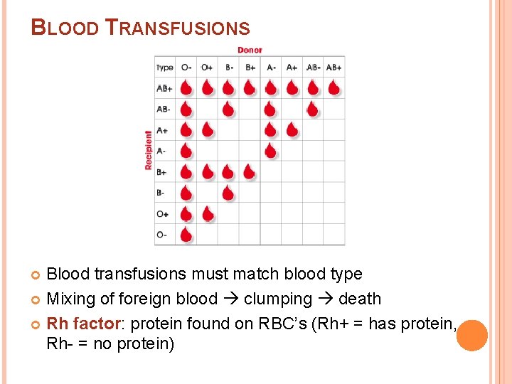 BLOOD TRANSFUSIONS Blood transfusions must match blood type Mixing of foreign blood clumping death
