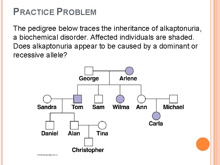 PRACTICE PROBLEM The pedigree below traces the inheritance of alkaptonuria, a biochemical disorder. Affected