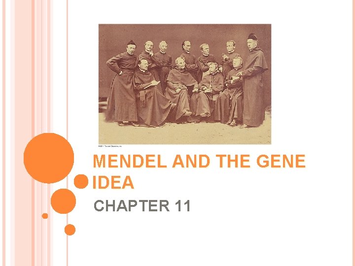 MENDEL AND THE GENE IDEA CHAPTER 11 