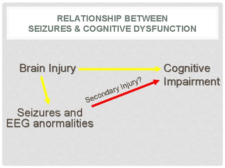 RELATIONSHIP BETWEEN SEIZURES & COGNITIVE DYSFUNCTION Brain Injury ? y r u nj I