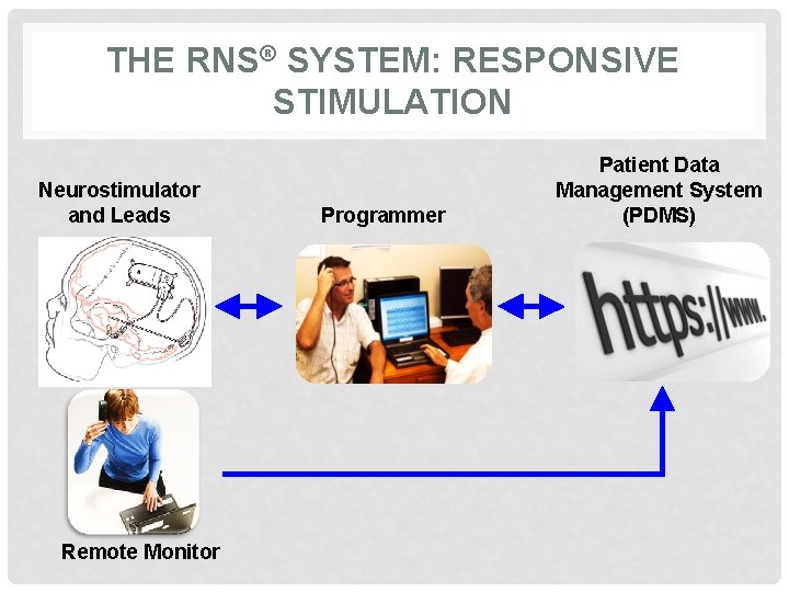 THE RNS® SYSTEM: RESPONSIVE STIMULATION Neurostimulator and Leads Remote Monitor Programmer Patient Data Management