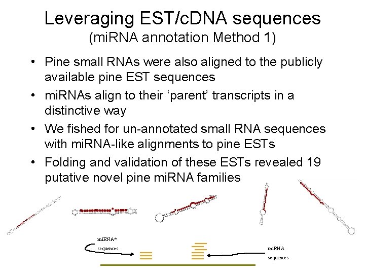 Leveraging EST/c. DNA sequences (mi. RNA annotation Method 1) • Pine small RNAs were