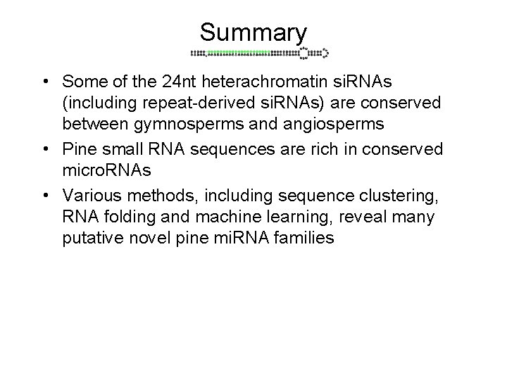 Summary • Some of the 24 nt heterachromatin si. RNAs (including repeat-derived si. RNAs)