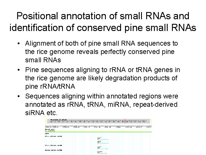 Positional annotation of small RNAs and identification of conserved pine small RNAs • Alignment
