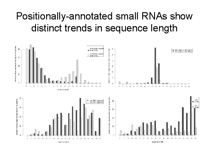 Positionally-annotated small RNAs show distinct trends in sequence length 