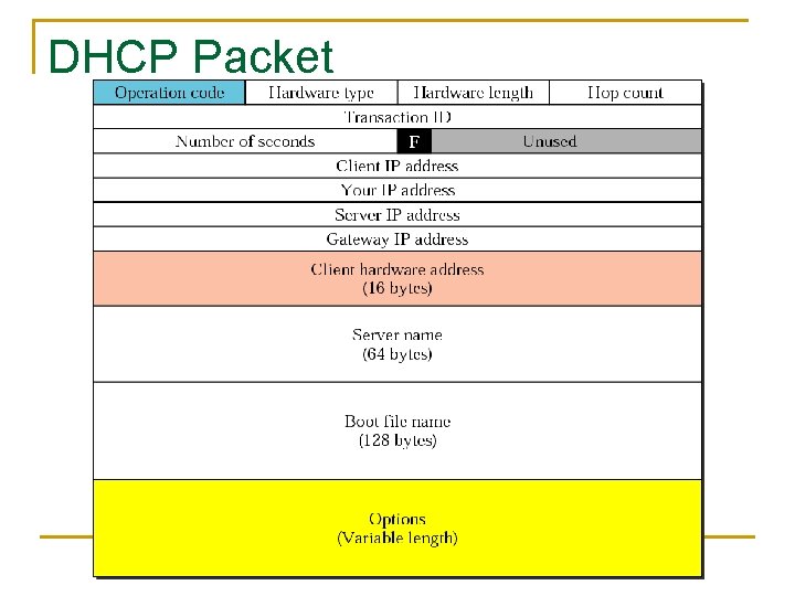 DHCP Packet 