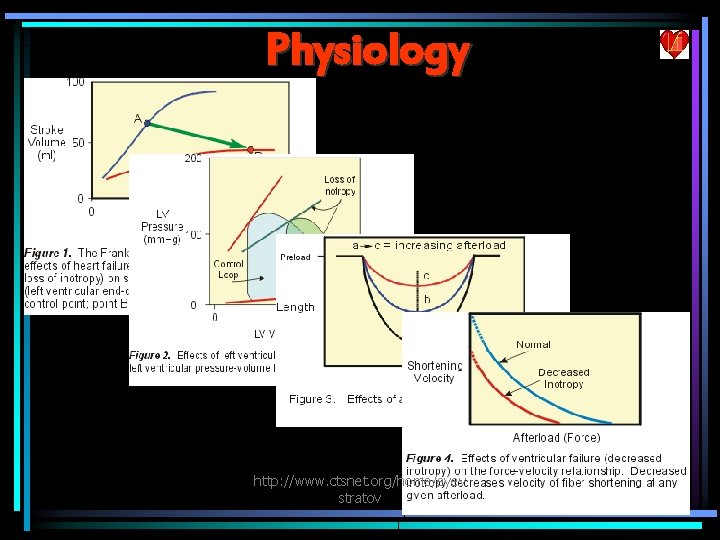 Physiology http: //www. ctsnet. org/home/eyev stratov 