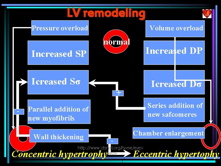 LV remodeling Pressure overload Volume overload normal Increased DP Increased SP Icreased Sσ Icreased