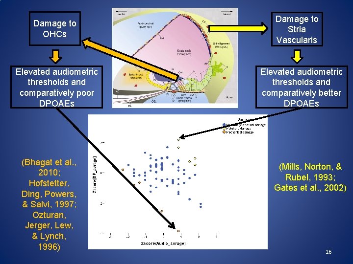 Damage to OHCs Elevated audiometric thresholds and comparatively poor DPOAEs (Bhagat et al. ,