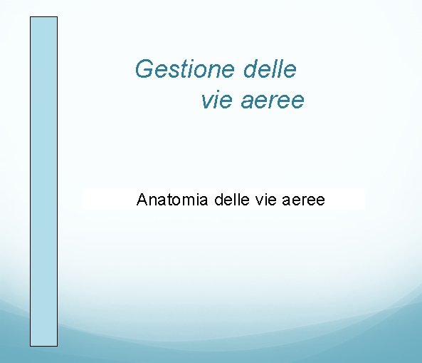 Gestione delle vie aeree Anatomia delle vie aeree 