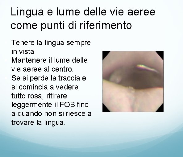 Lingua e lume delle vie aeree come punti di riferimento • Tenere la lingua
