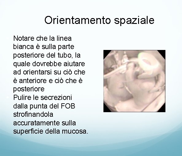 Orientamento spaziale • Notare che la linea bianca è sulla parte posteriore del tubo,