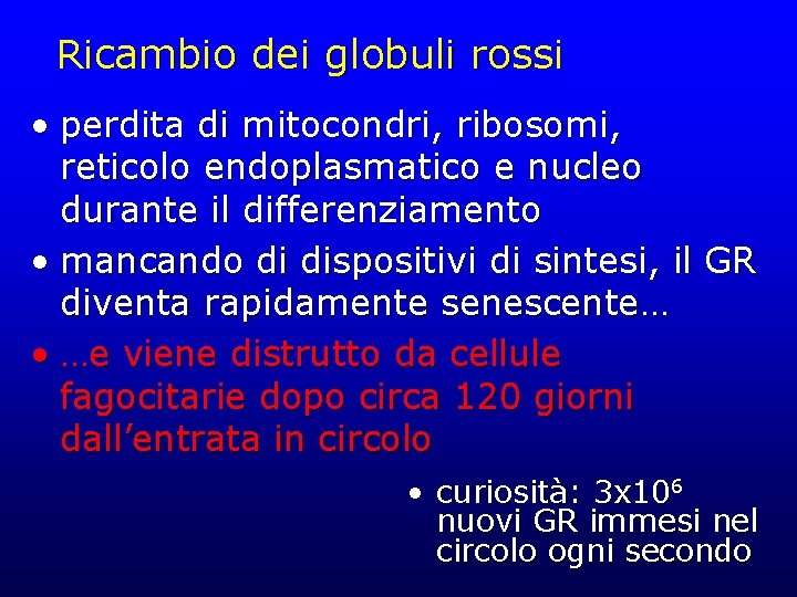 Ricambio dei globuli rossi • perdita di mitocondri, ribosomi, reticolo endoplasmatico e nucleo durante