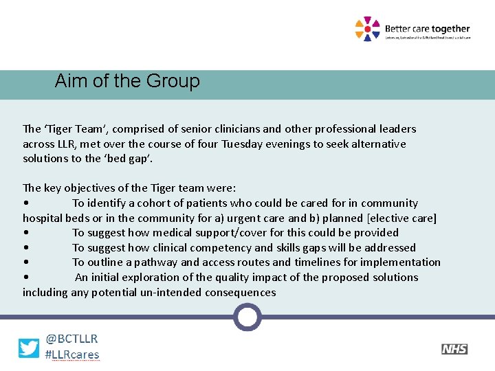 Aim of the Group The ‘Tiger Team’, comprised of senior clinicians and other professional