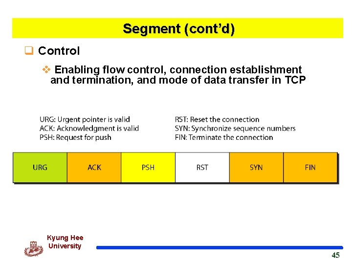 Segment (cont’d) q Control v Enabling flow control, connection establishment and termination, and mode