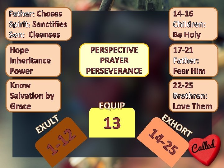 Father: Choses Spirit: Sanctifies Son: Cleanses 14 -16 Children: Be Holy PERSPECTIVE PRAYER PERSEVERANCE