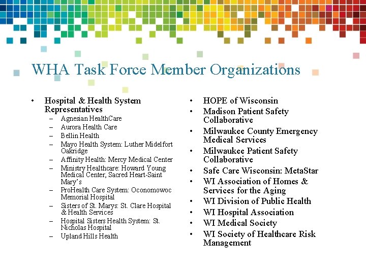 WHA Task Force Member Organizations • Hospital & Health System Representatives – – –