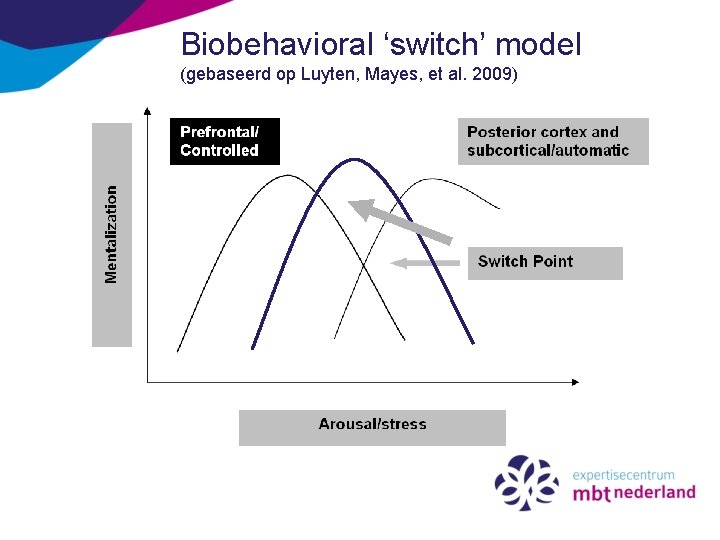 Biobehavioral ‘switch’ model (gebaseerd op Luyten, Mayes, et al. 2009) 