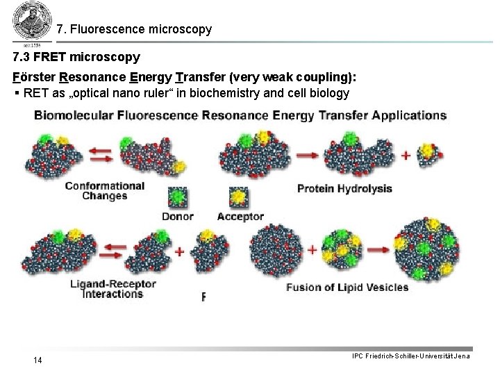 7. Fluorescence microscopy 7. 3 FRET microscopy Förster Resonance Energy Transfer (very weak coupling): 7. Fluorescence microscopy 7. 3 FRET microscopy Förster Resonance Energy Transfer (very weak coupling):