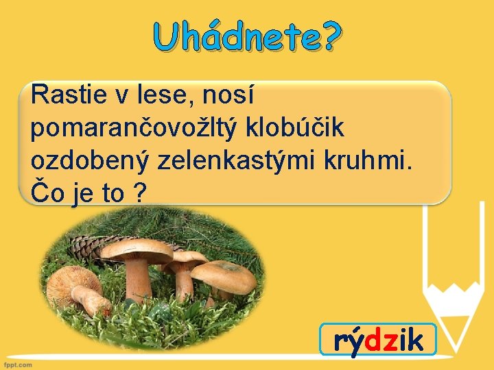 Uhádnete? Rastie v lese, nosí pomarančovožltý klobúčik ozdobený zelenkastými kruhmi. Čo je to ?