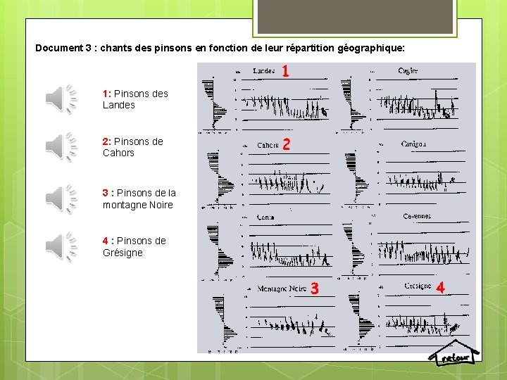 Document 3 : chants des pinsons en fonction de leur répartition géographique: 1: Pinsons Document 3 : chants des pinsons en fonction de leur répartition géographique: 1: Pinsons