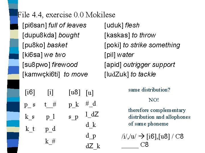 Bnik Knowledge Of Sounds Phonology The Study Of