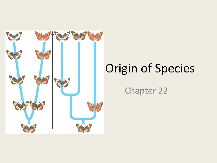 Origin of Species Chapter 22 