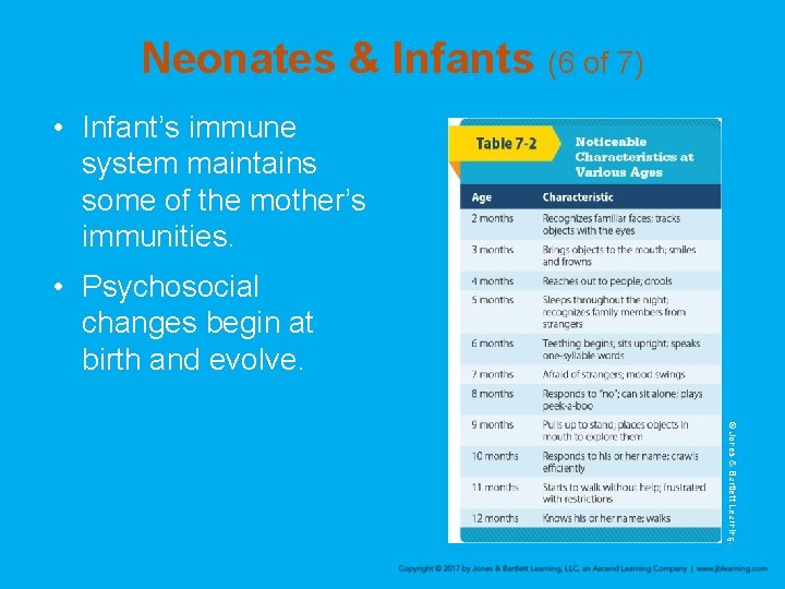 Neonates & Infants (6 of 7) • Infant’s immune system maintains some of the