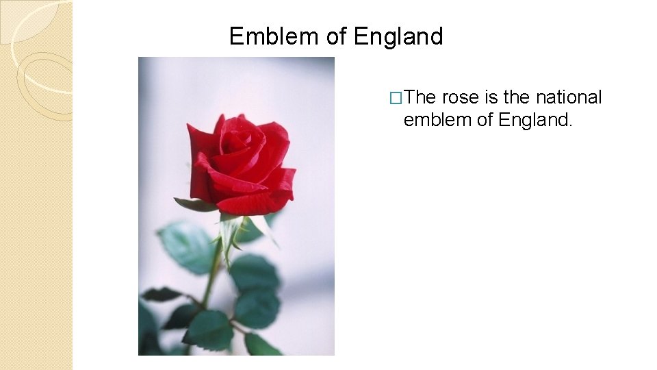 Emblem of England �The rose is the national emblem of England. 