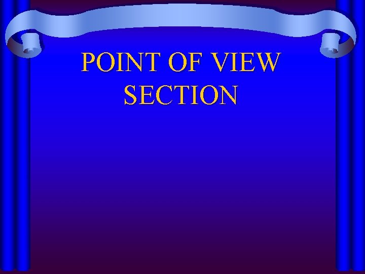 POINT OF VIEW SECTION 