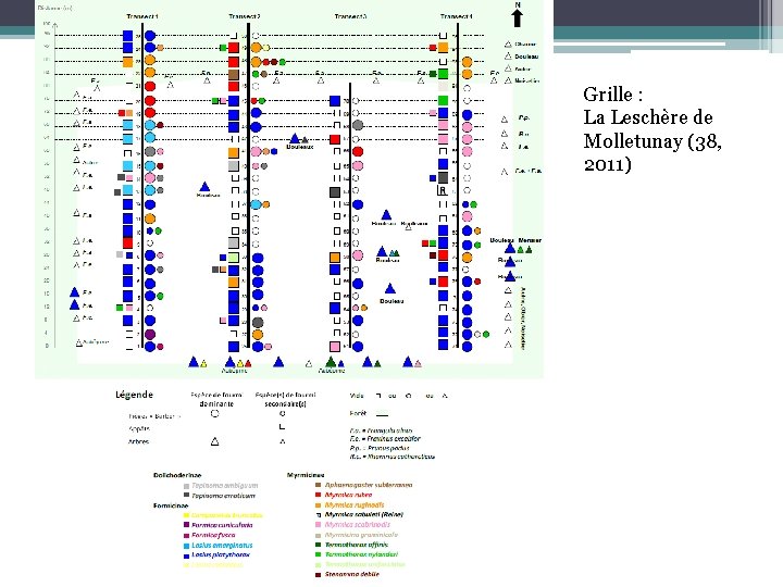 Grille : La Leschère de Molletunay (38, 2011) 