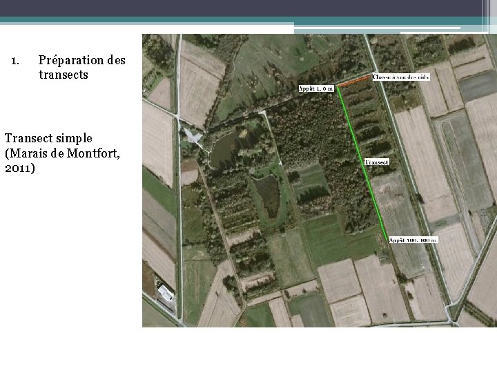 1. Préparation des transects Transect simple (Marais de Montfort, 2011) 